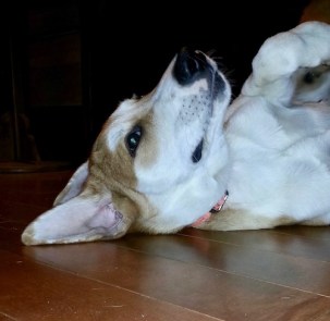 2016-09-14 22.48.55-1 2