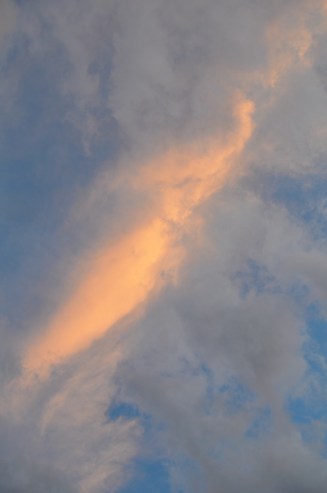 DSC_0838