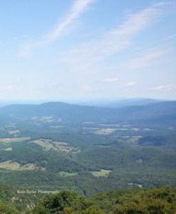 2017-08-19 13.10.35.jpg