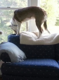 2016-09-24 17.48.59-2