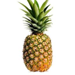 Pineapple.jpeg