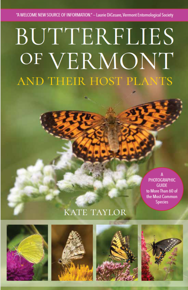 Butterflies of Vermont cover
