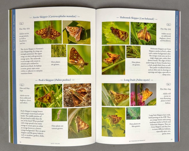 page of book Vermont Butterflies showing various skipper species