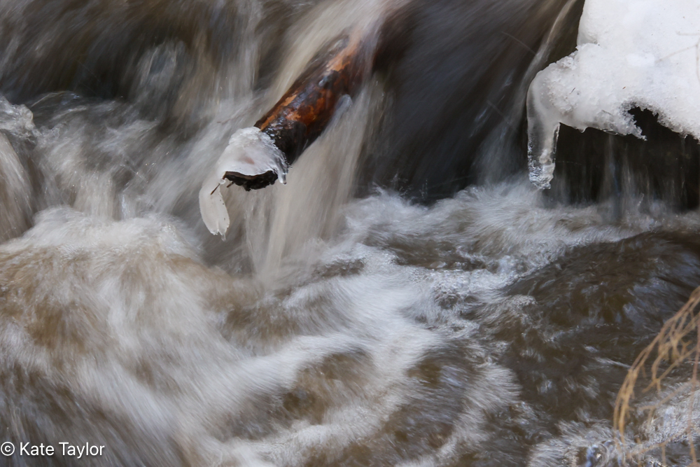 ice melting in to river, photo by Kate Taylor