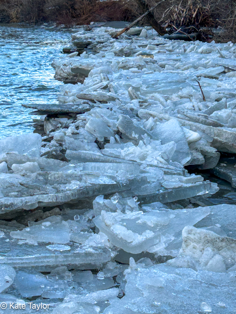 ice break up, photo by Kate Taylor